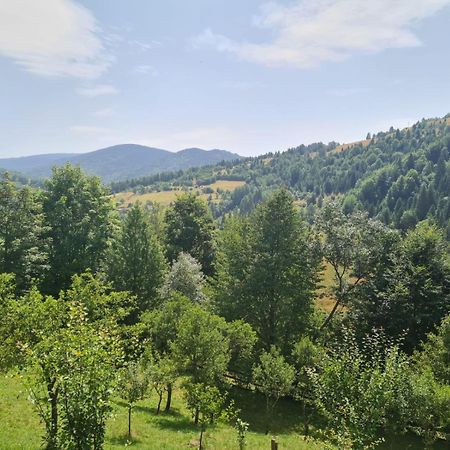 Apuseni Holidays Rachitele Buitenkant foto