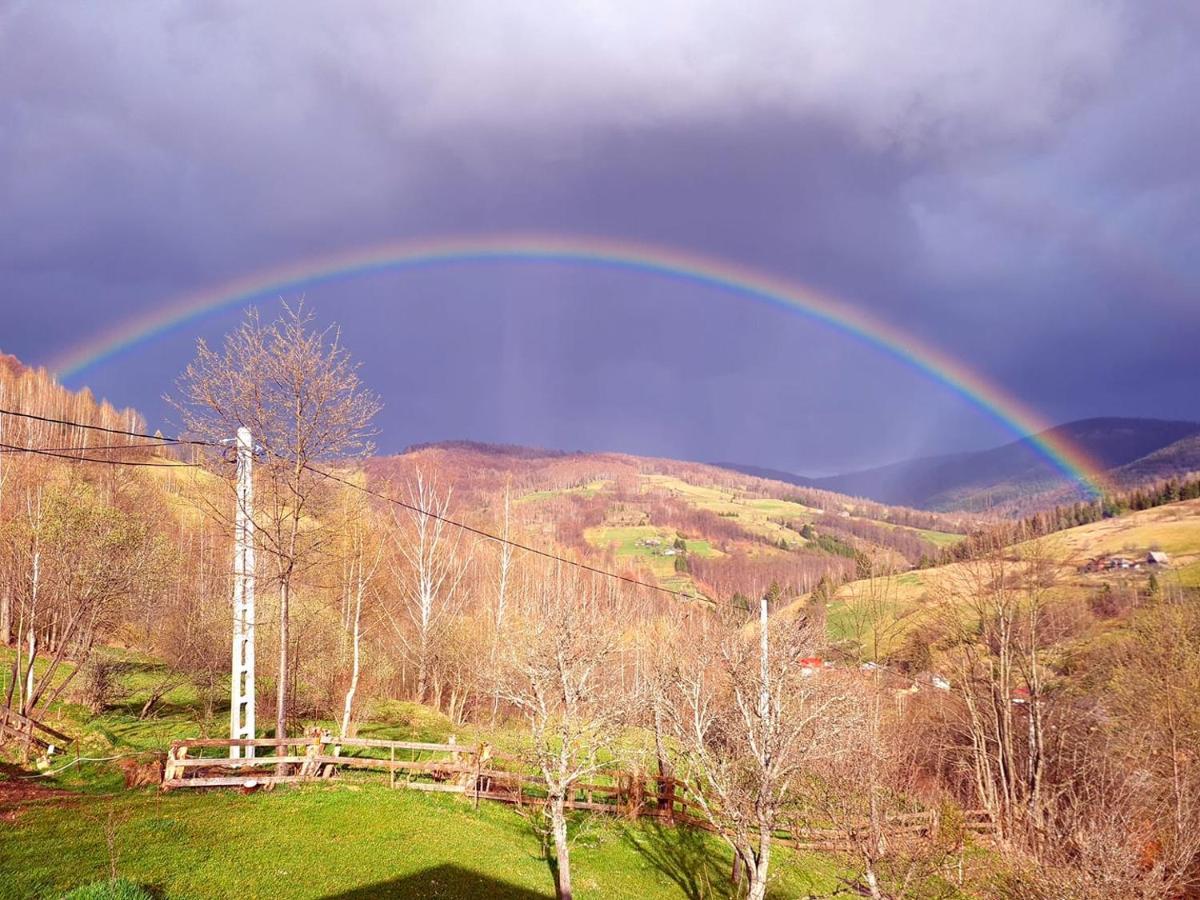 Apuseni Holidays Rachitele Buitenkant foto