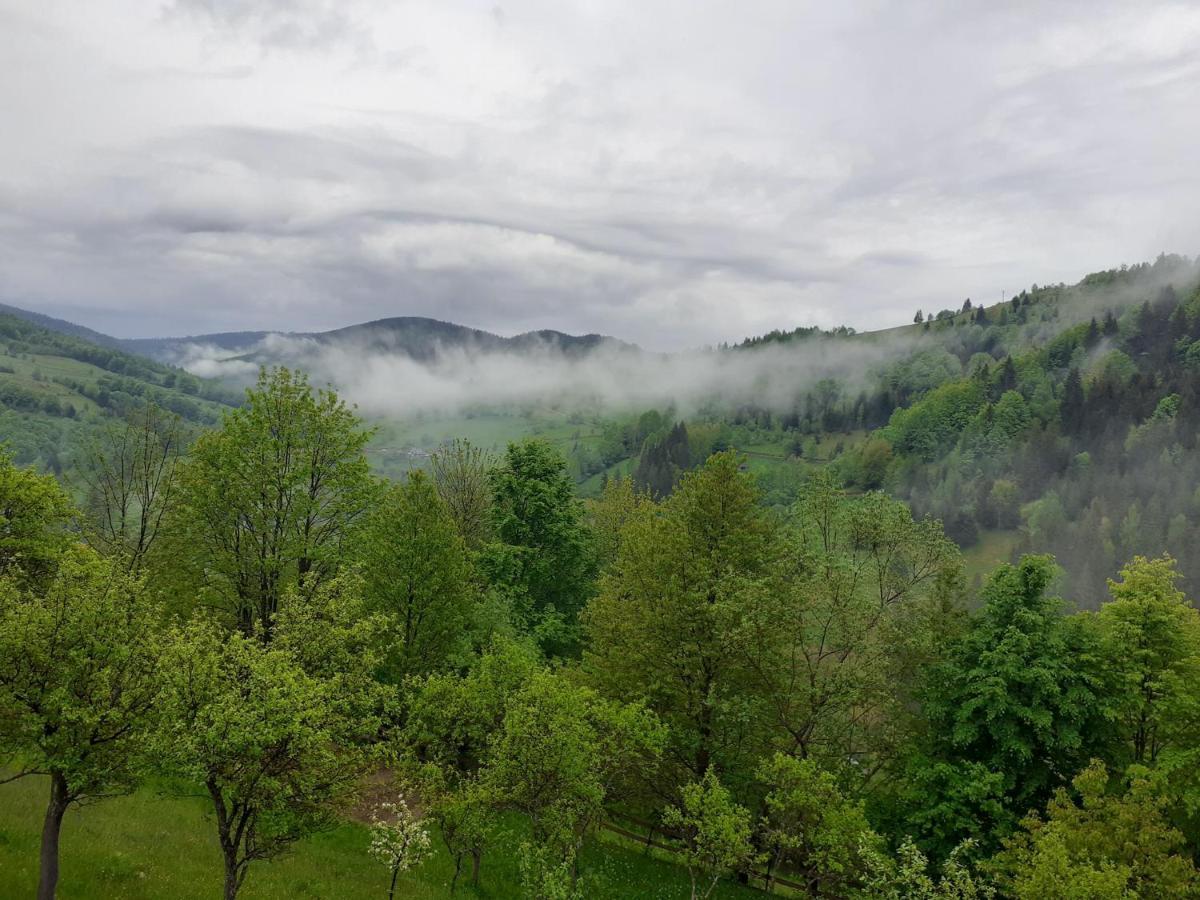Apuseni Holidays Rachitele Buitenkant foto