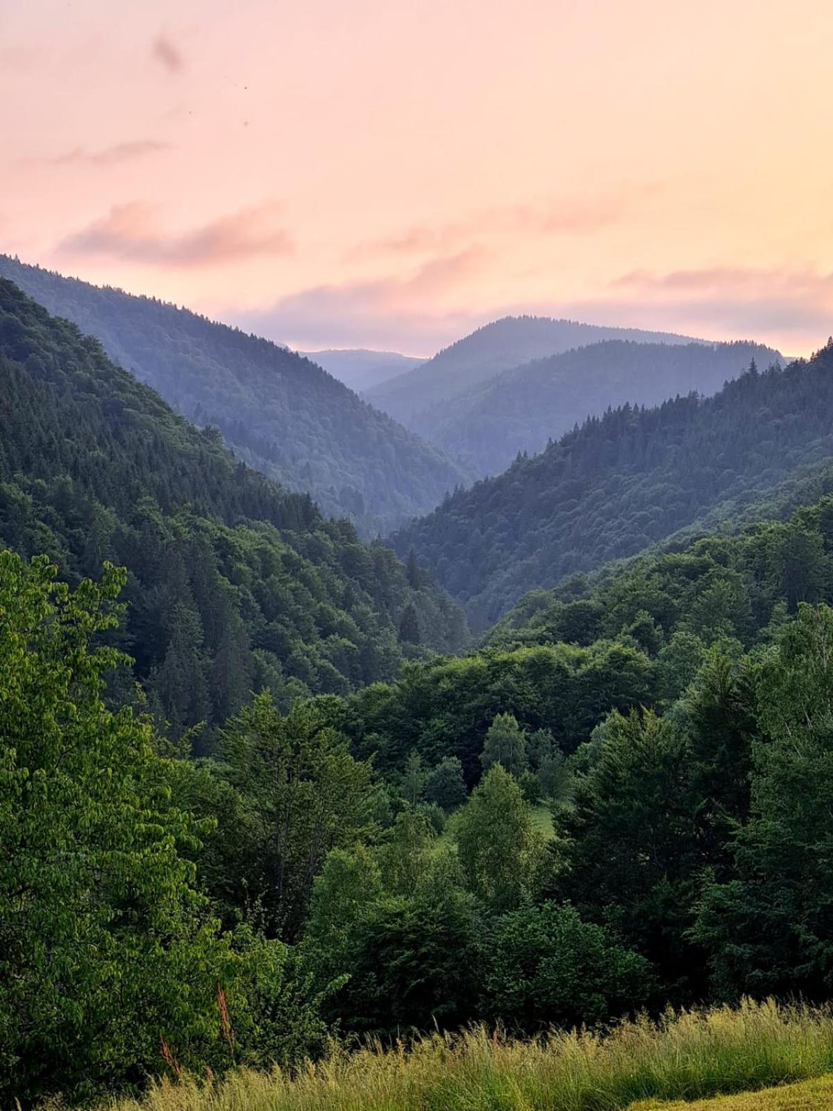 Apuseni Holidays Rachitele Buitenkant foto