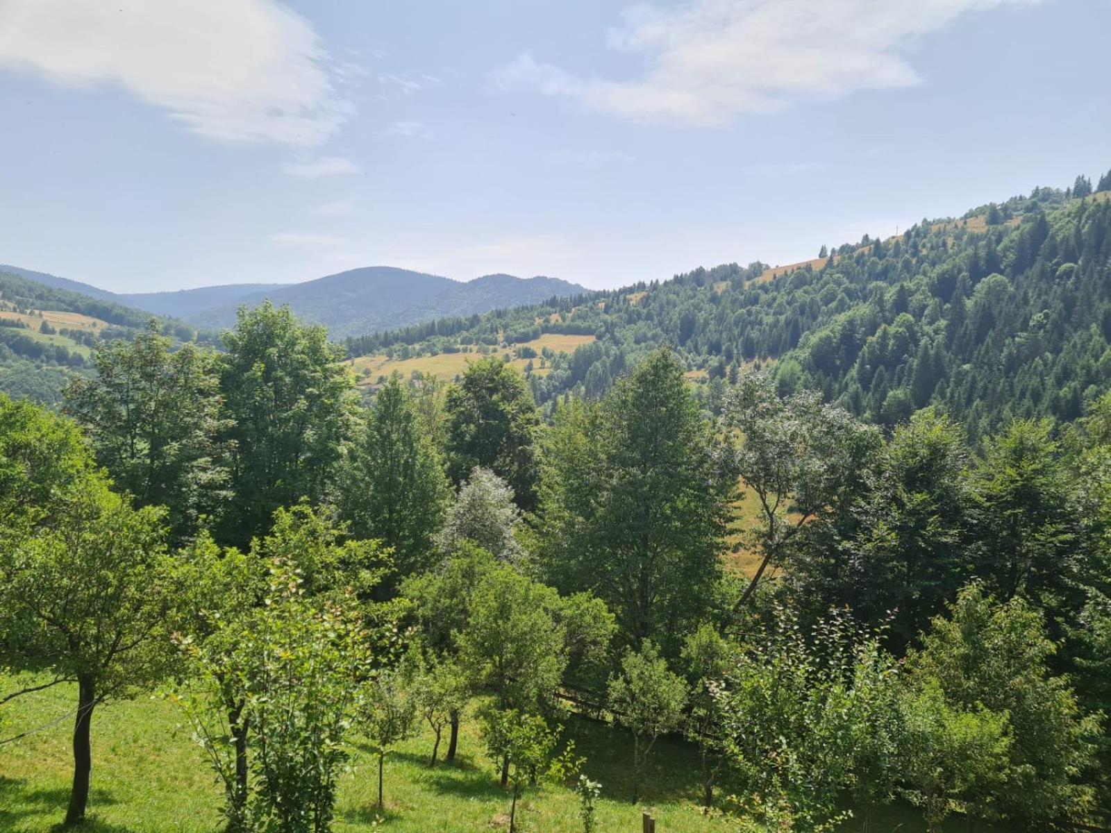Apuseni Holidays Rachitele Buitenkant foto